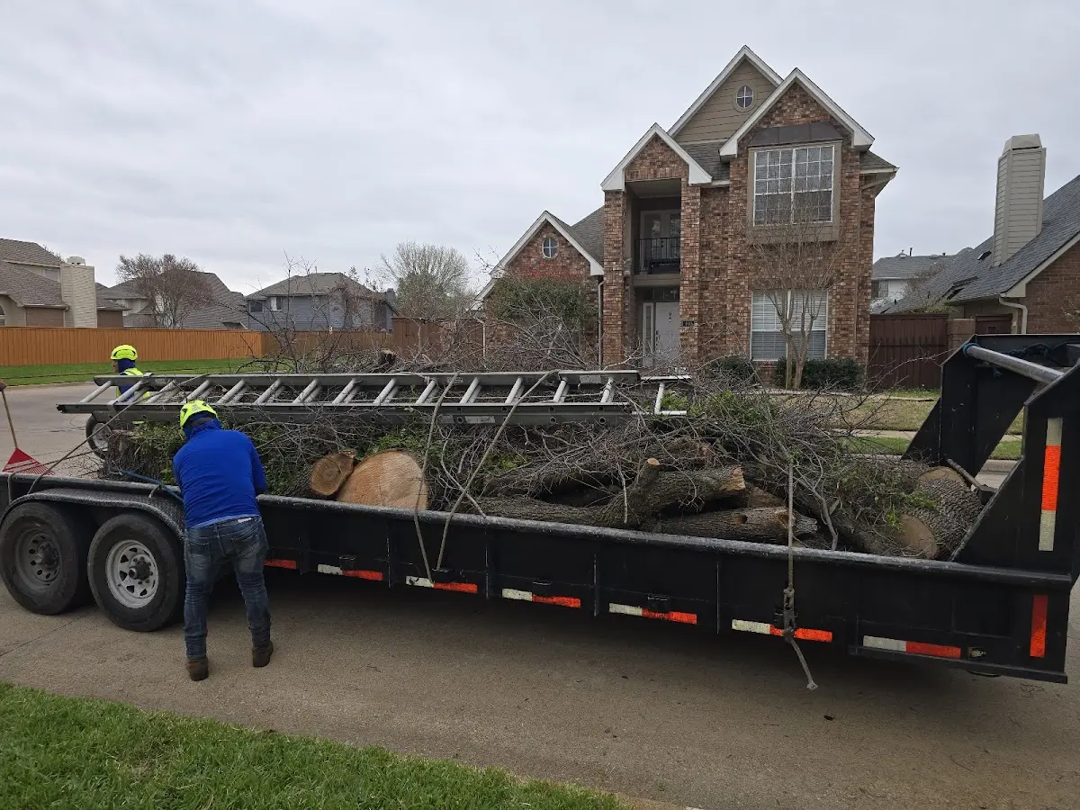 Expert Lot Clearing with proper safety equipment in Hungry Horse
